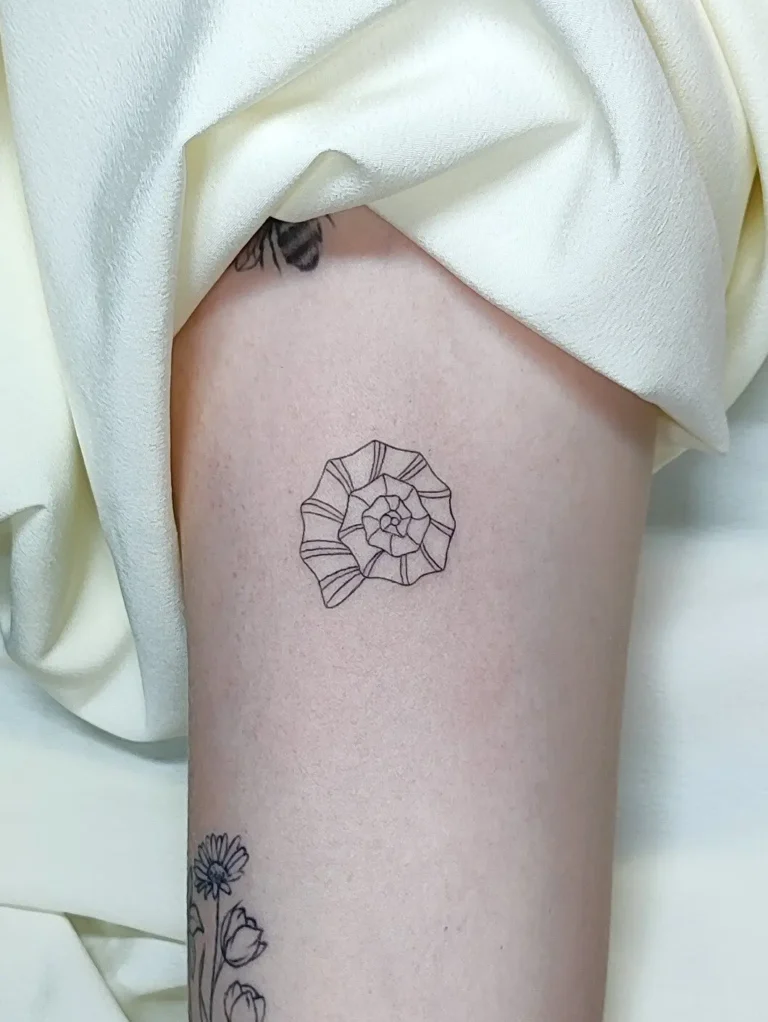 Tatuaje minimalista fineline de una concha marina sobre un brazo