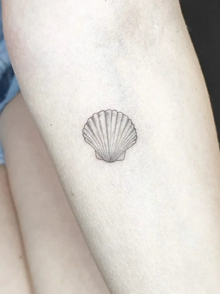 Tatuaje de una concha con sombras suaves sobre un antebrazo